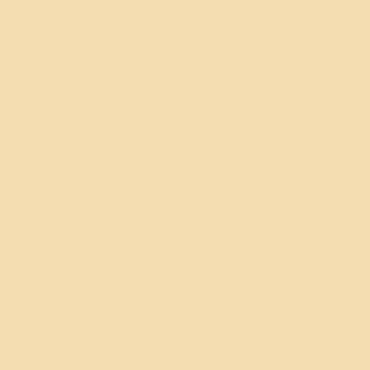 ONE SHOT PAINT CHAMOIS 118-L